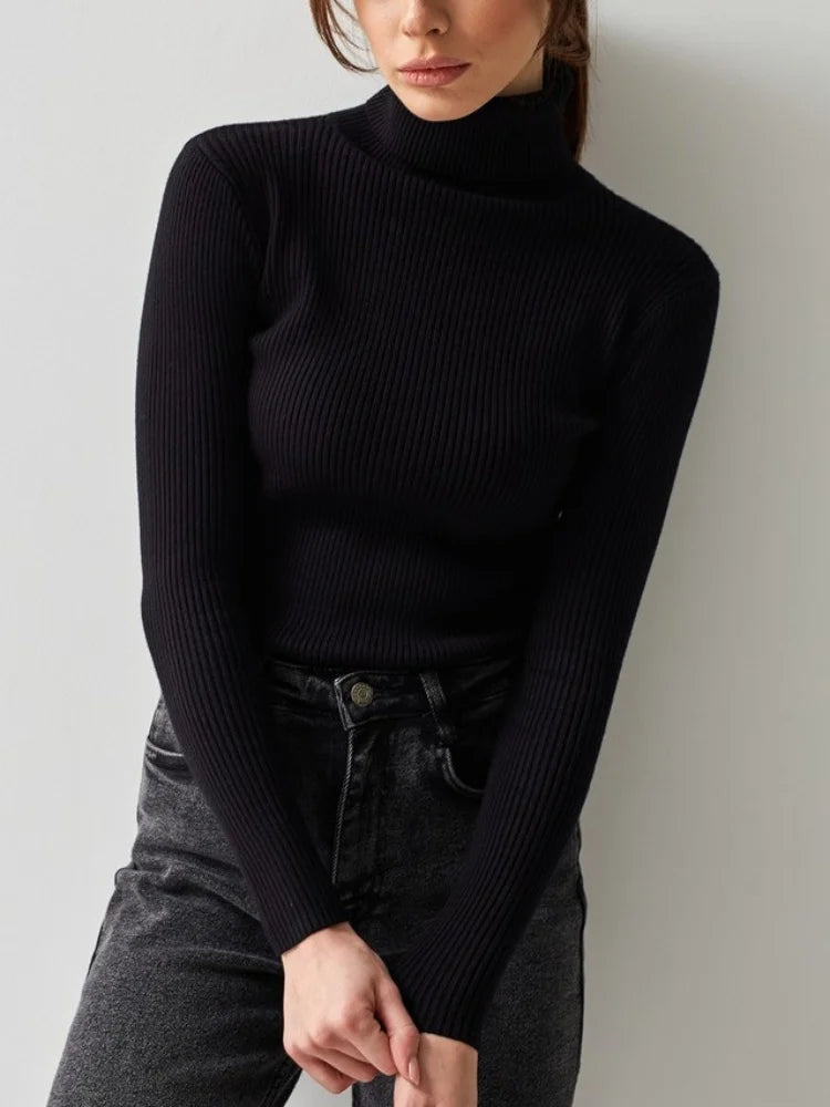 Raffiniert und strahlend Pullover